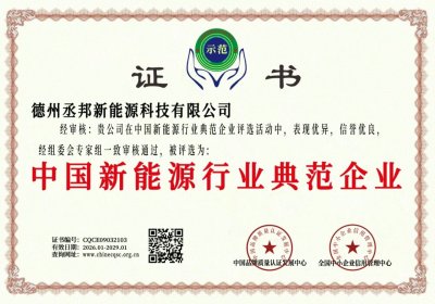 中国新能源行业典范企业